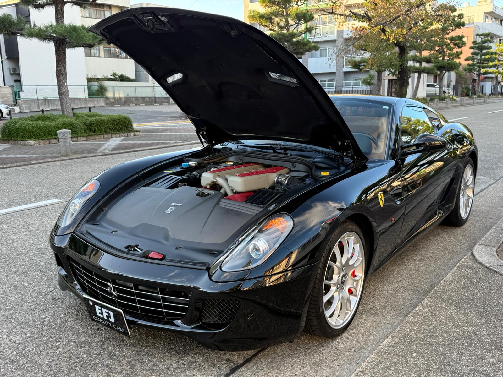 Ferrari 599 GTB Fiorano (photo: 4)