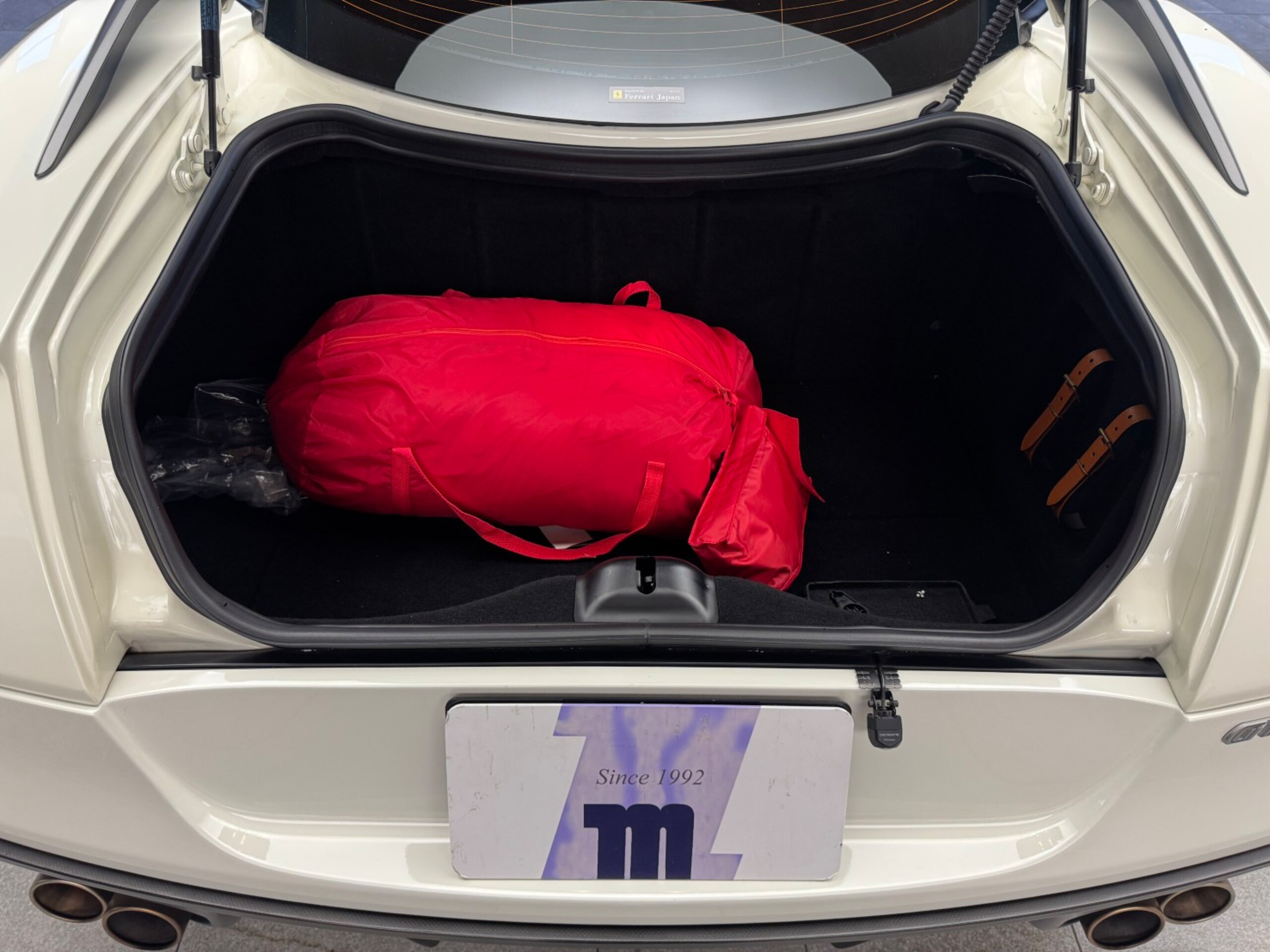 Ferrari 599GTO (photo: 17)