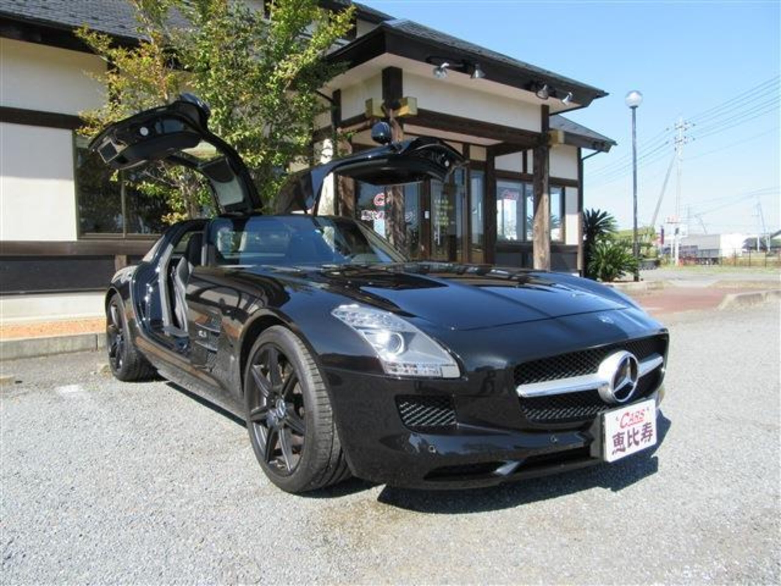 Mercedes Benz SLS AMG (photo: 2)