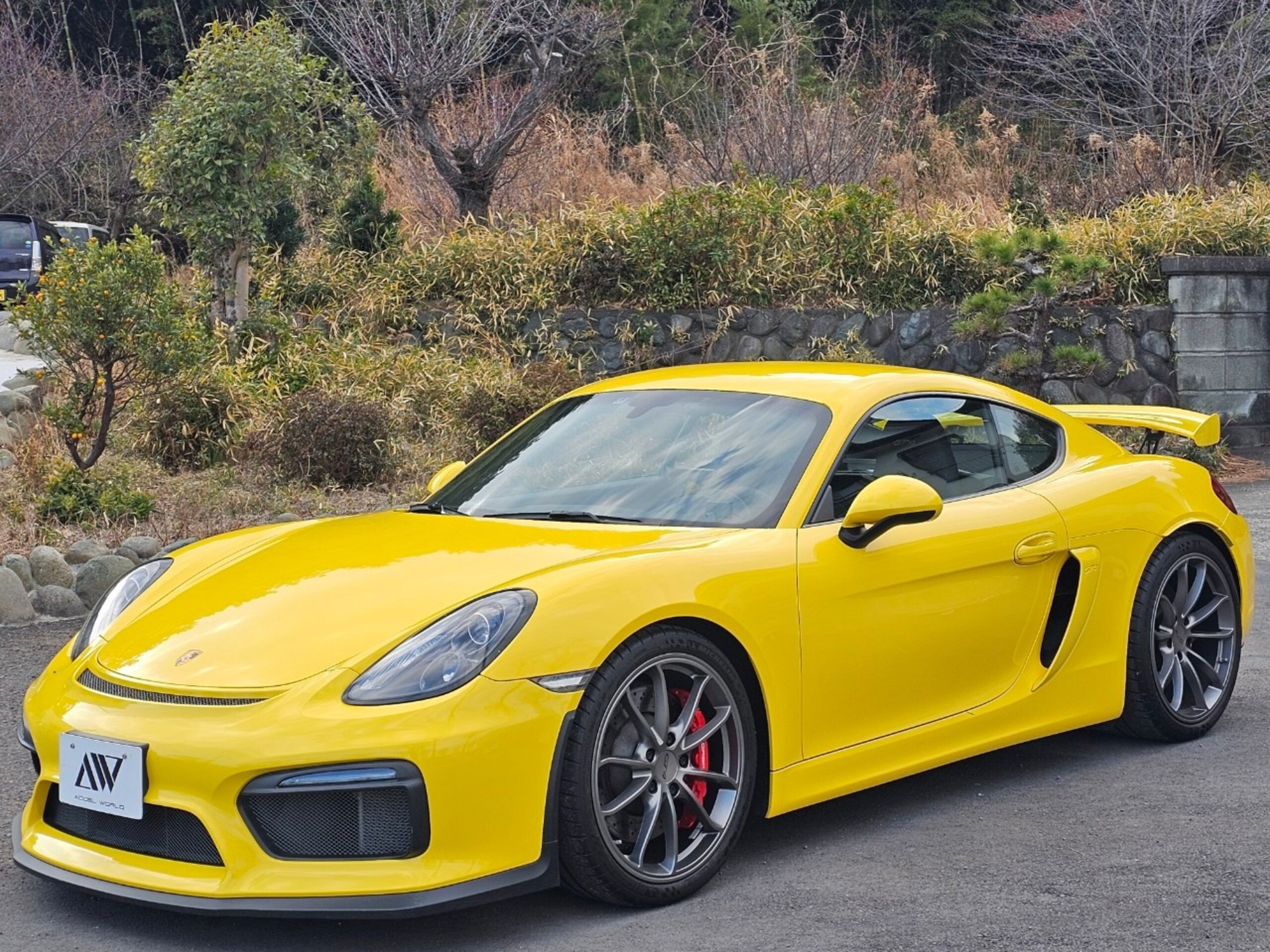 Porsche Cayman GT4 (photo: 2)