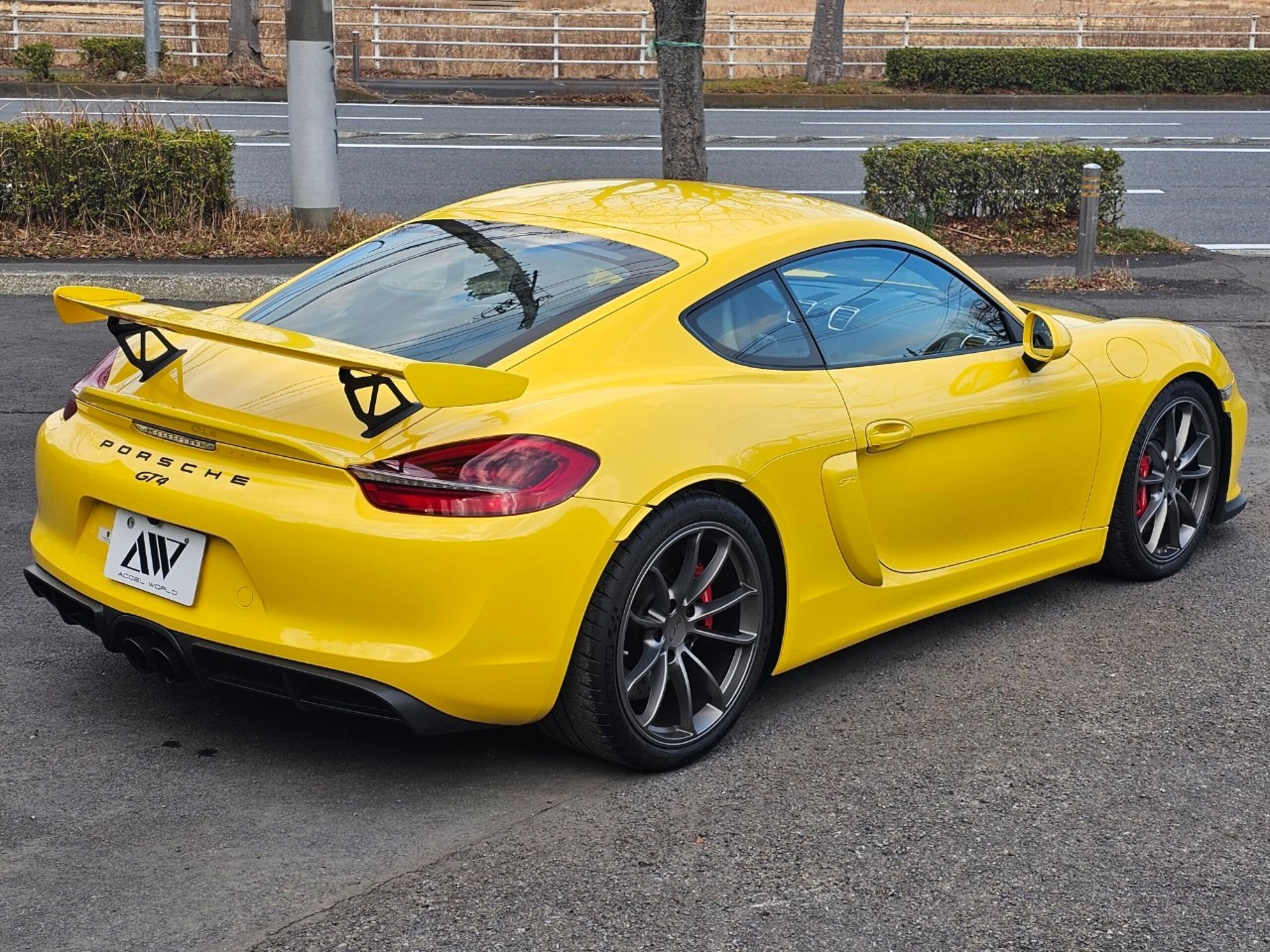 Porsche Cayman GT4 (photo: 4)