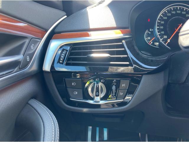 BMW 530i M Sport (photo: 13)