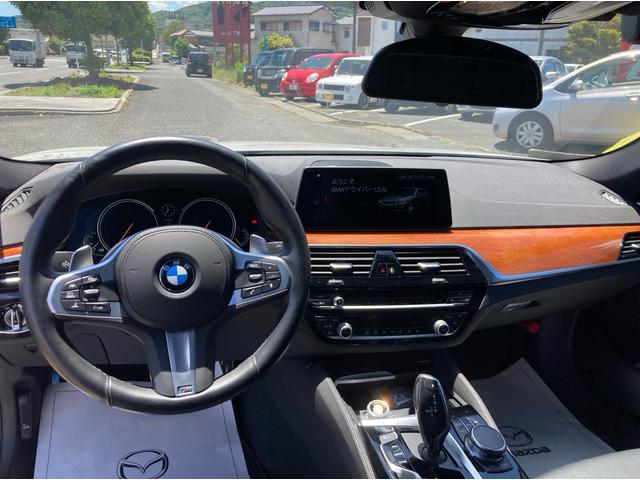 BMW 530i M Sport (photo: 9)