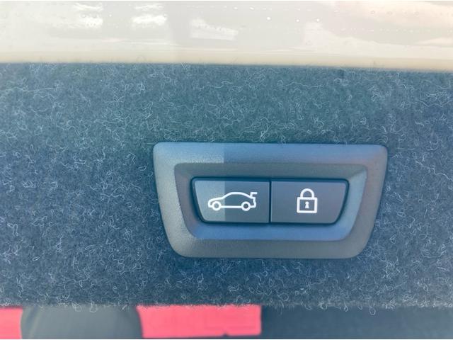 BMW 530i M Sport (photo: 29)