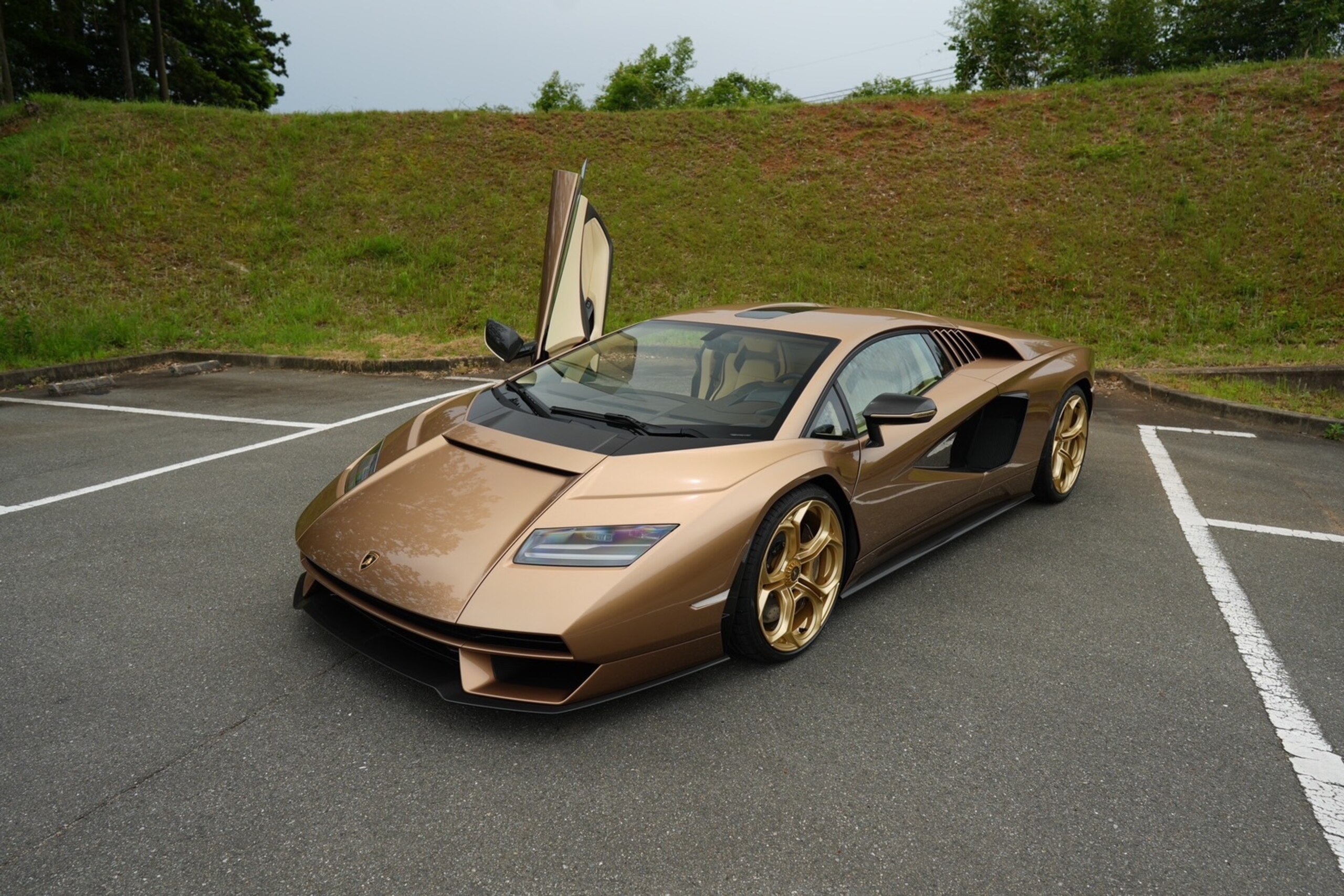 Lamborghini Countach LPI 800-4 (photo: 10)