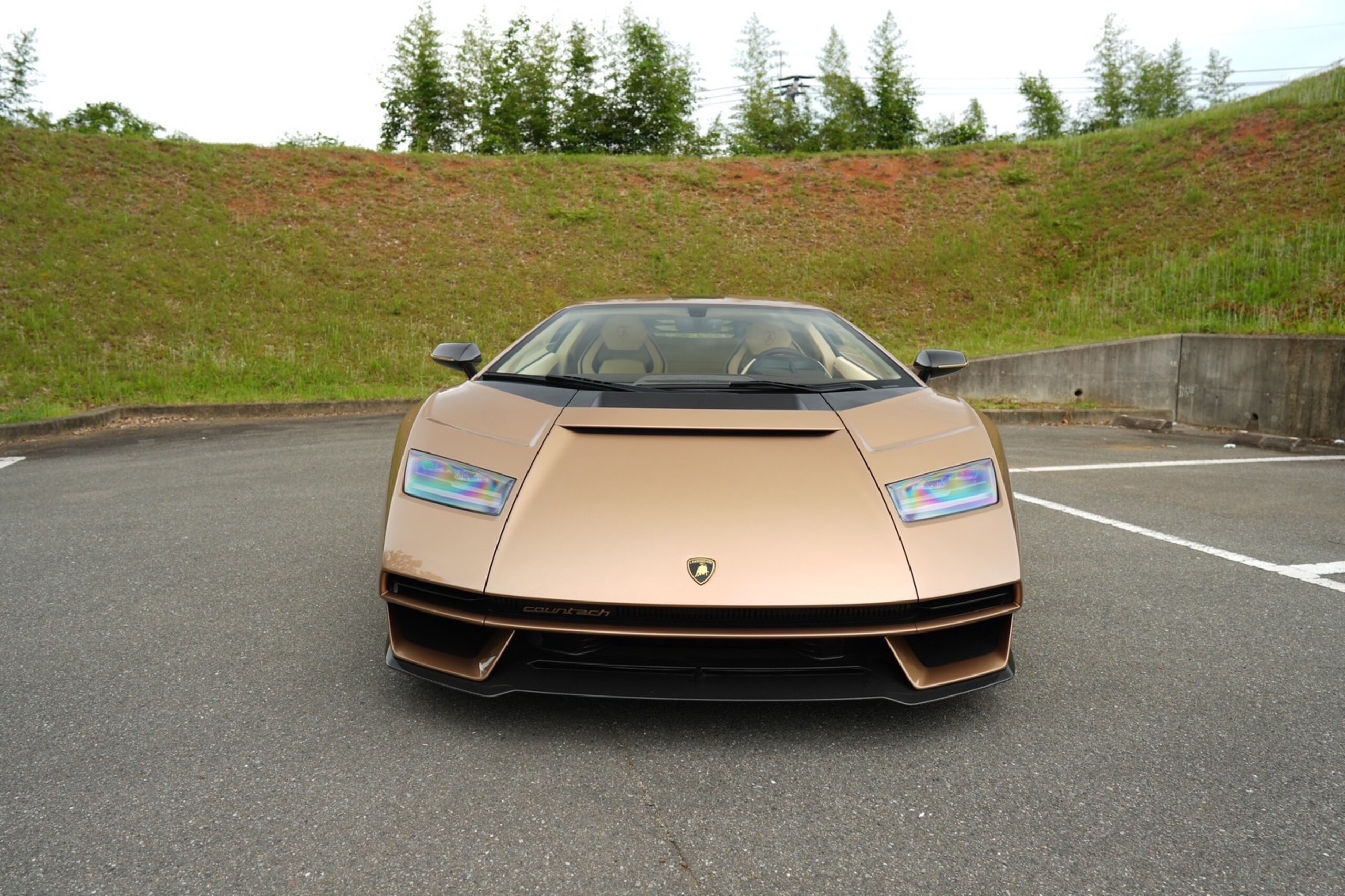 Lamborghini Countach LPI 800-4 (photo: 2)