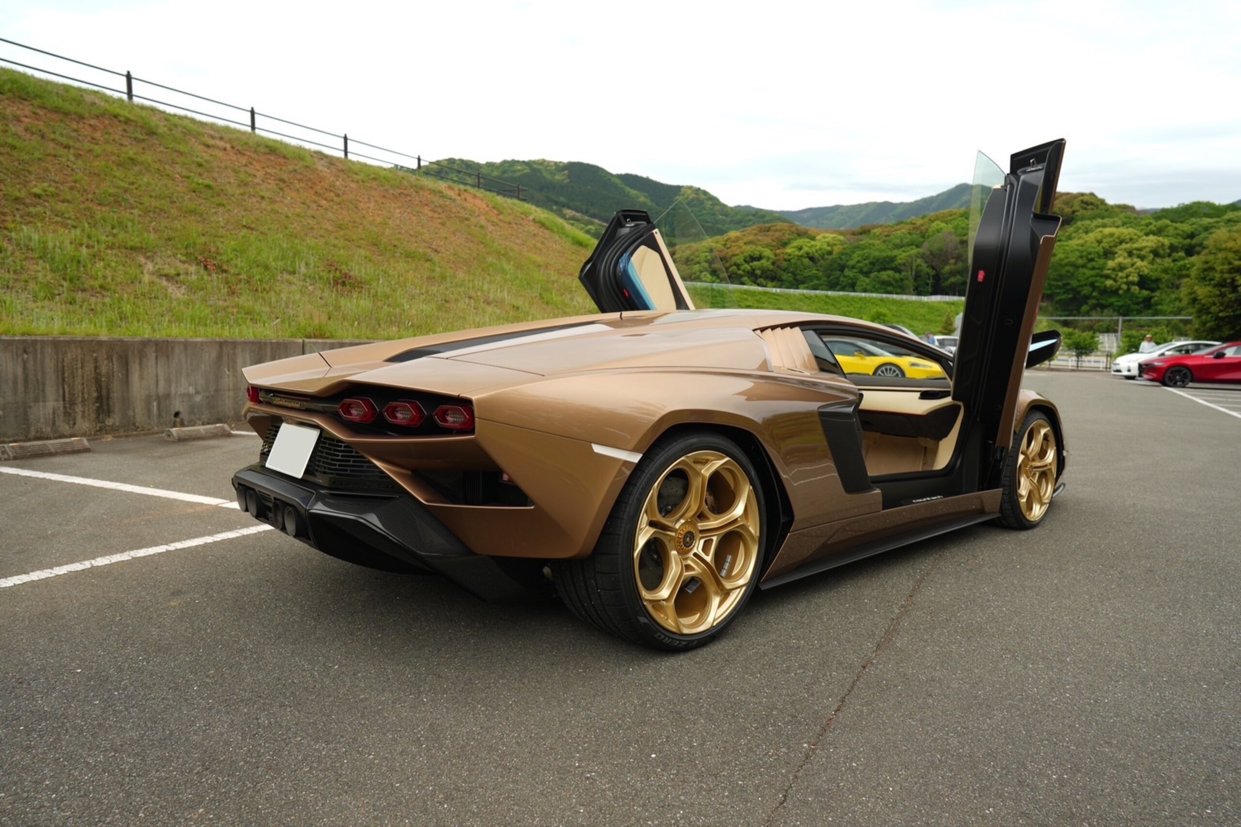 Lamborghini Countach LPI 800-4 (photo: 6)