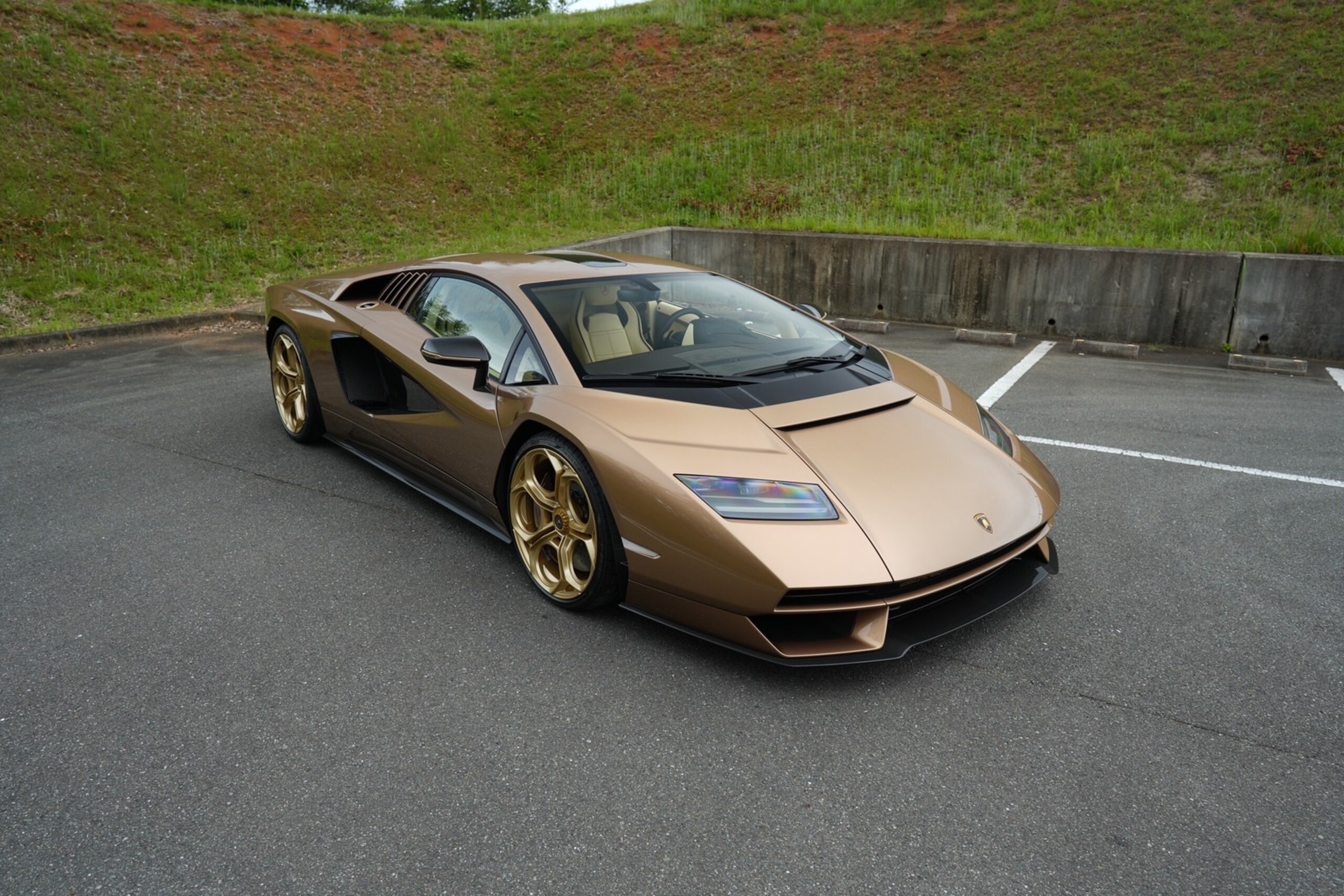 Lamborghini Countach LPI 800-4 (photo: 1)