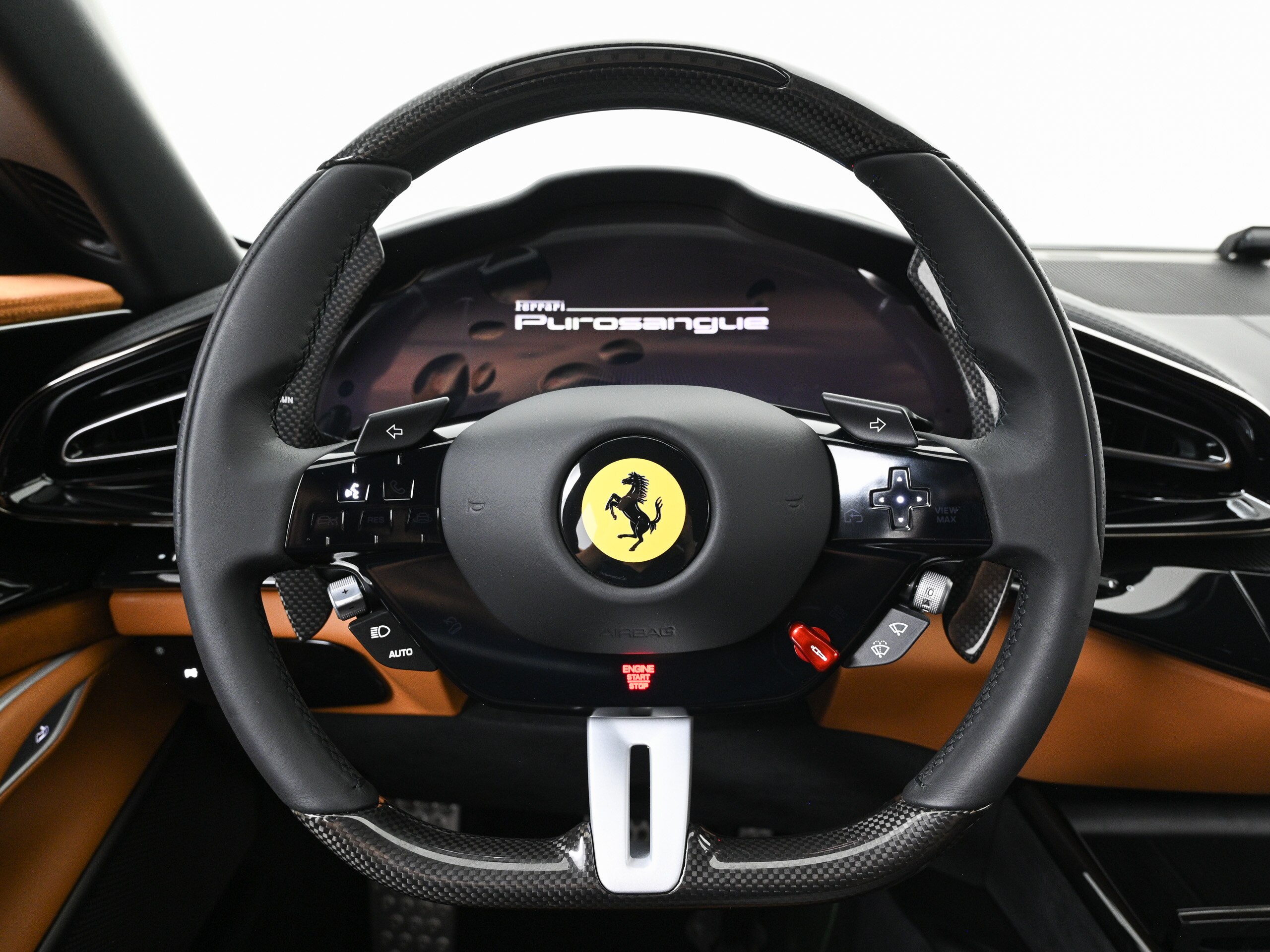 Ferrari Purosangue (photo: 10)