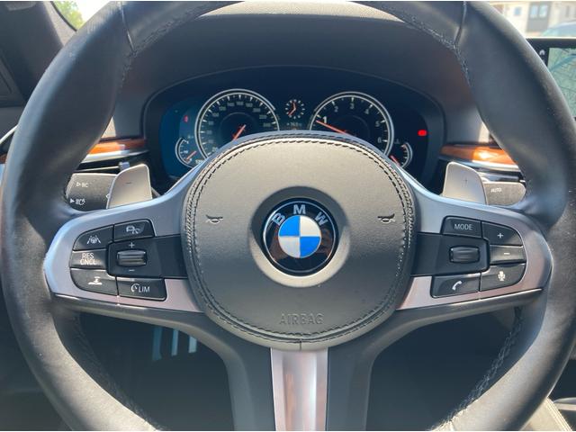 BMW 530i M Sport (photo: 10)