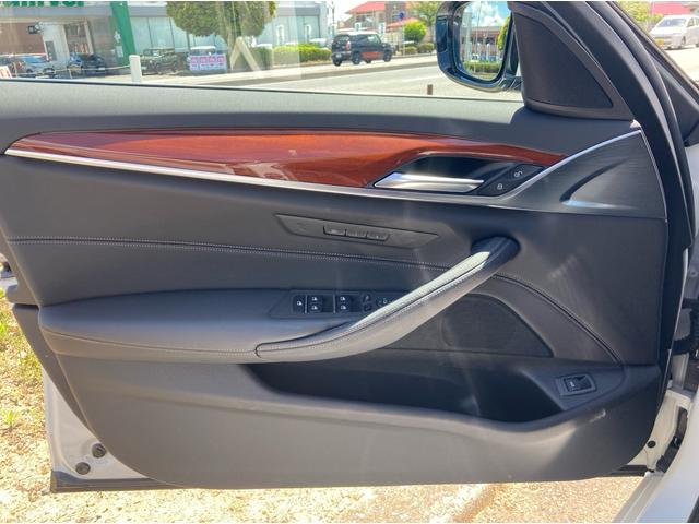 BMW 530i M Sport (photo: 17)