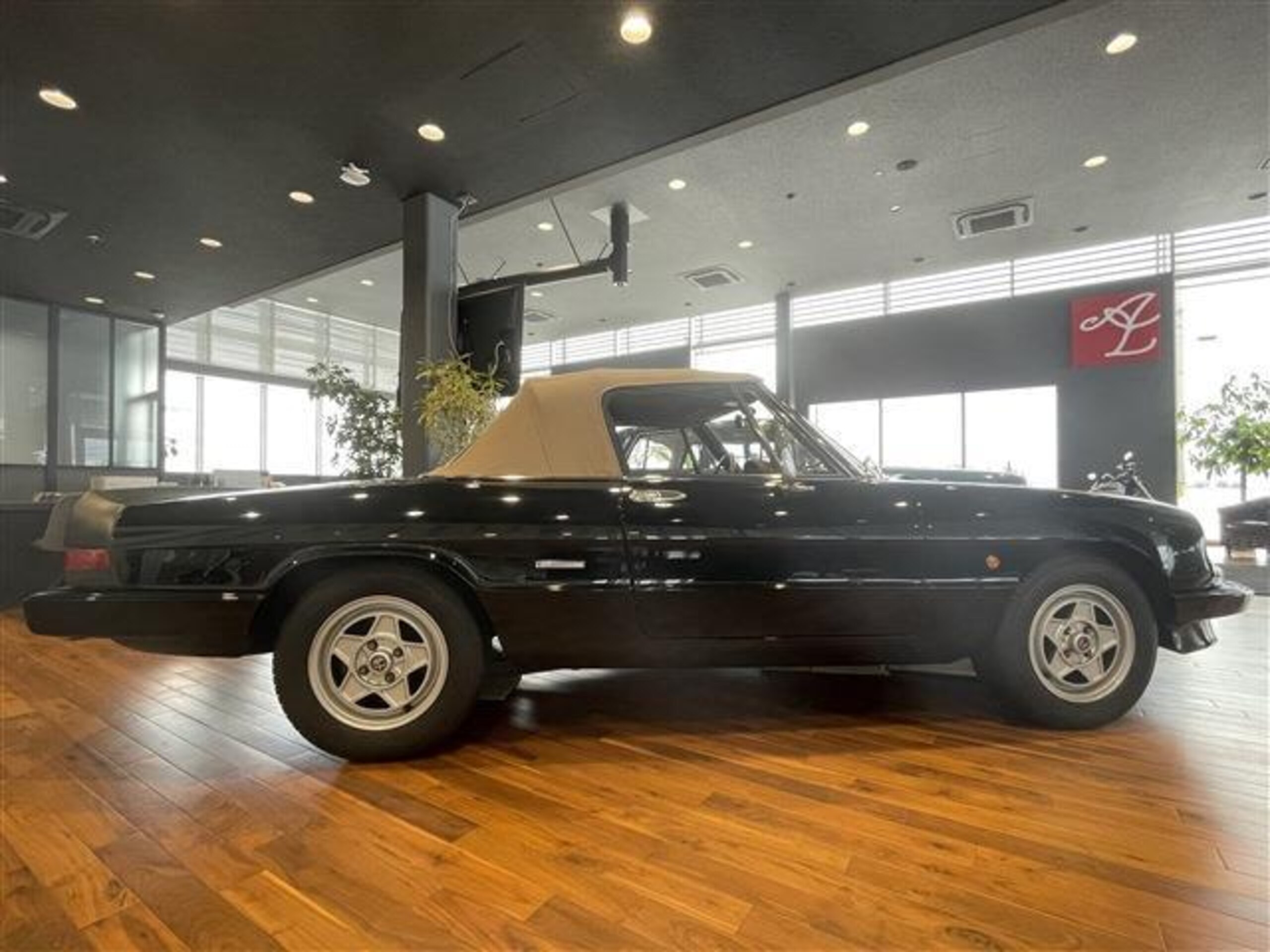 Alfa Romeo Spider (photo: 7)