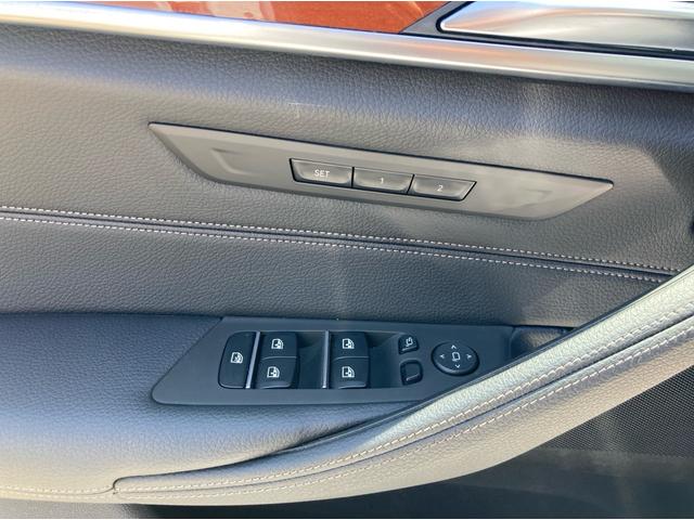 BMW 530i M Sport (photo: 18)