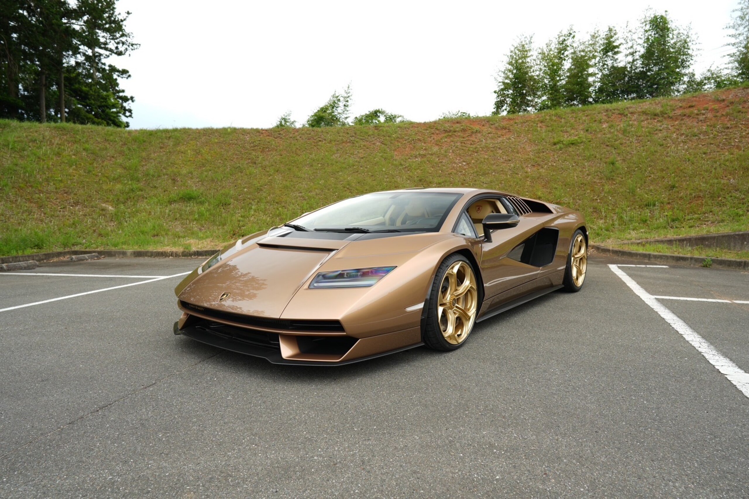 Lamborghini Countach LPI 800-4 (photo: 3)
