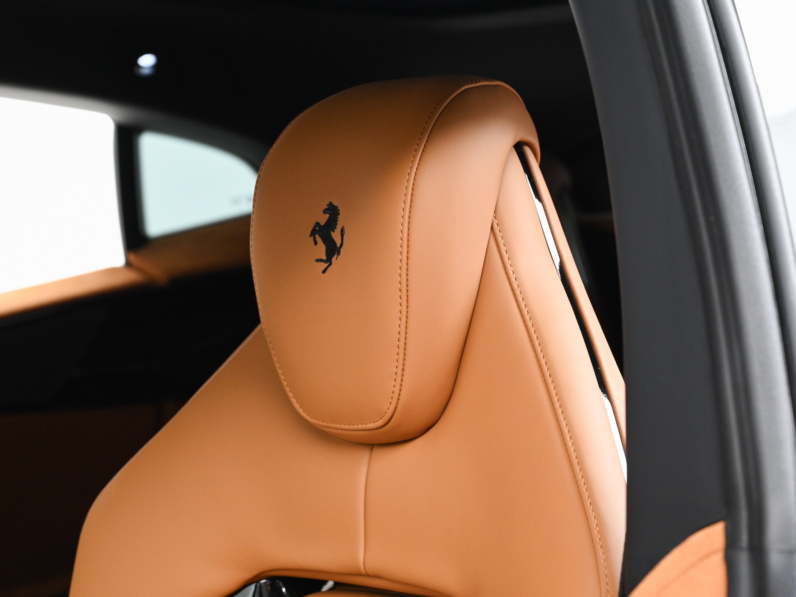 Ferrari Purosangue (photo: 9)