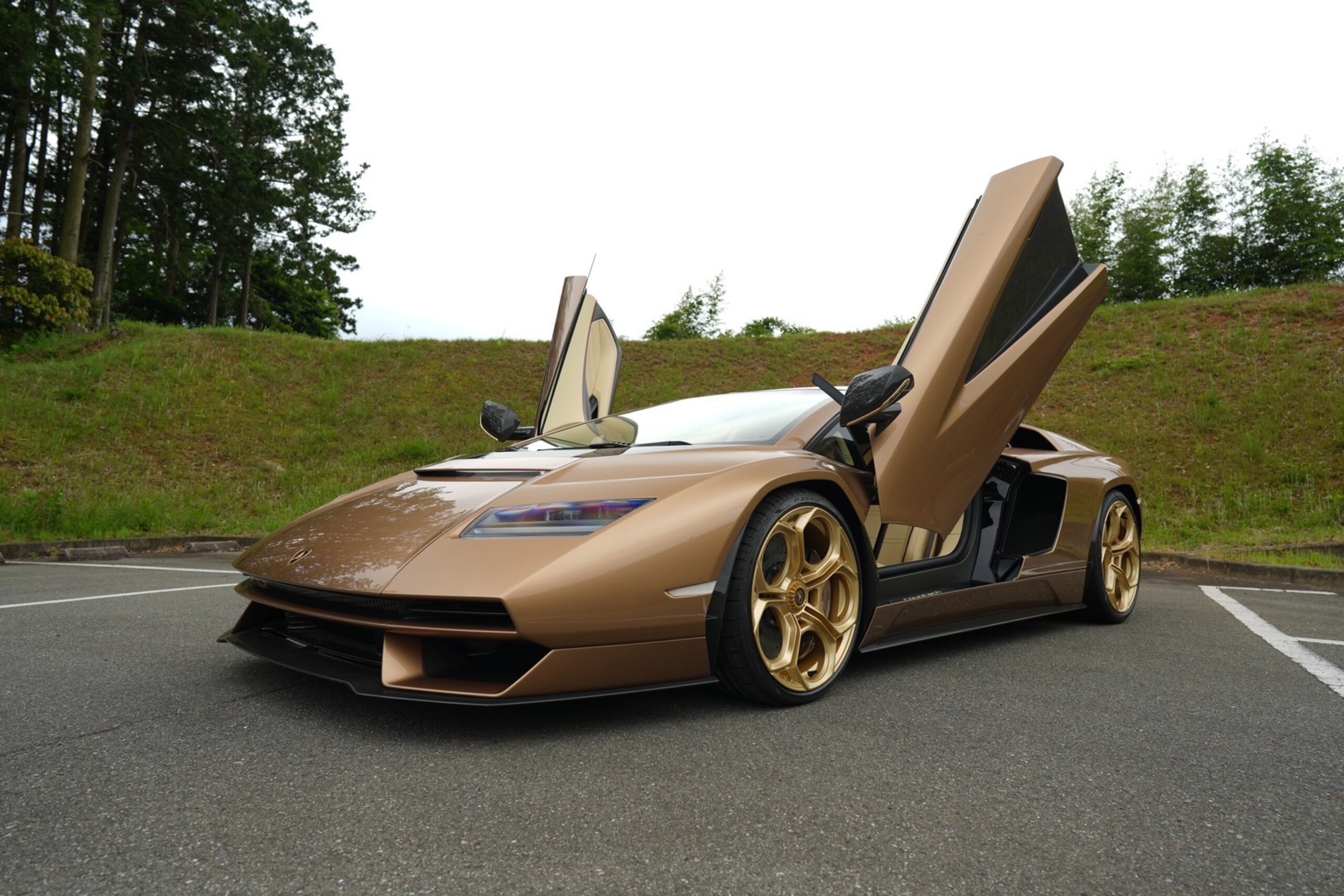 Lamborghini Countach LPI 800-4 (photo: 9)