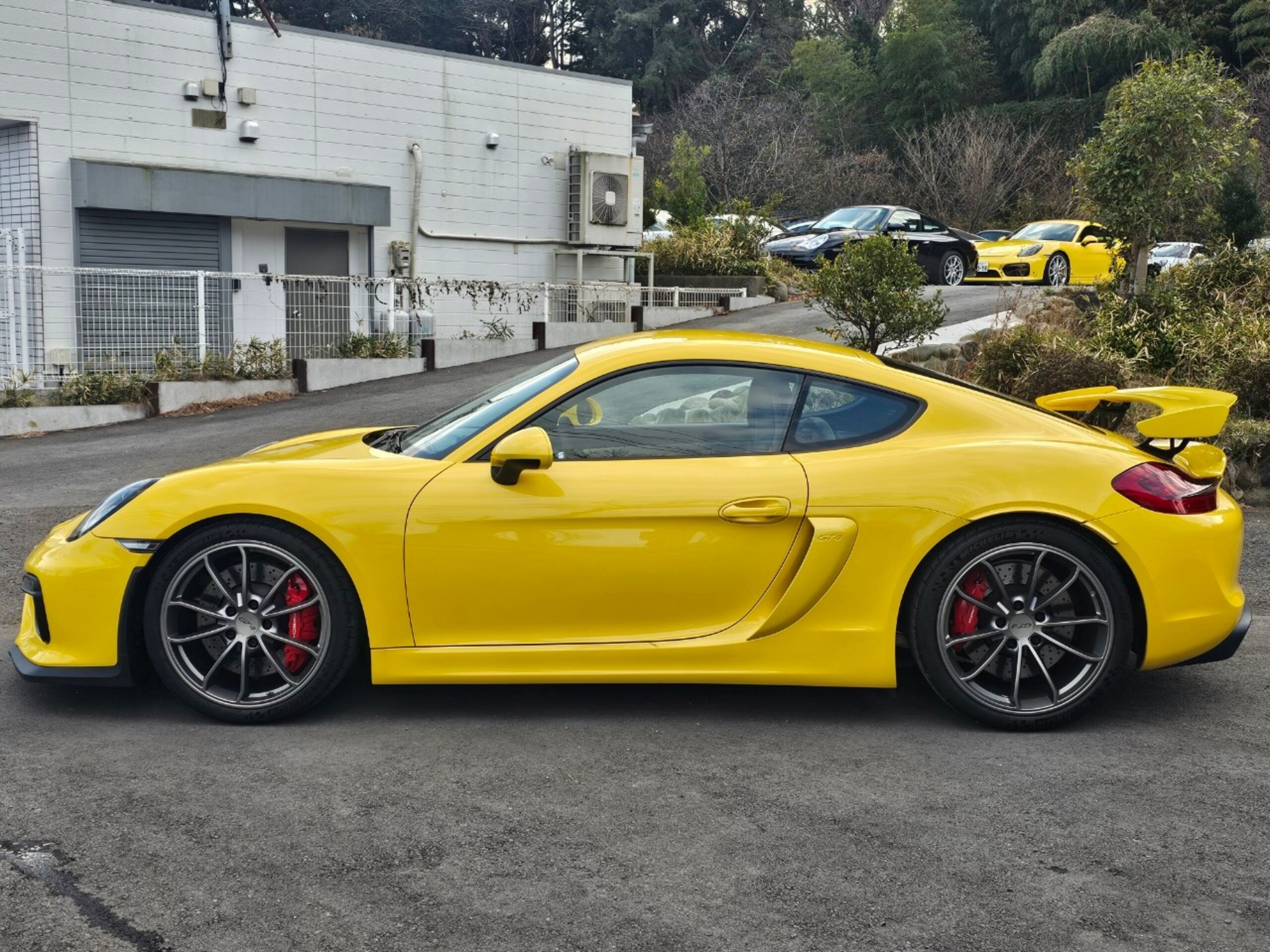 Porsche Cayman GT4 (photo: 6)
