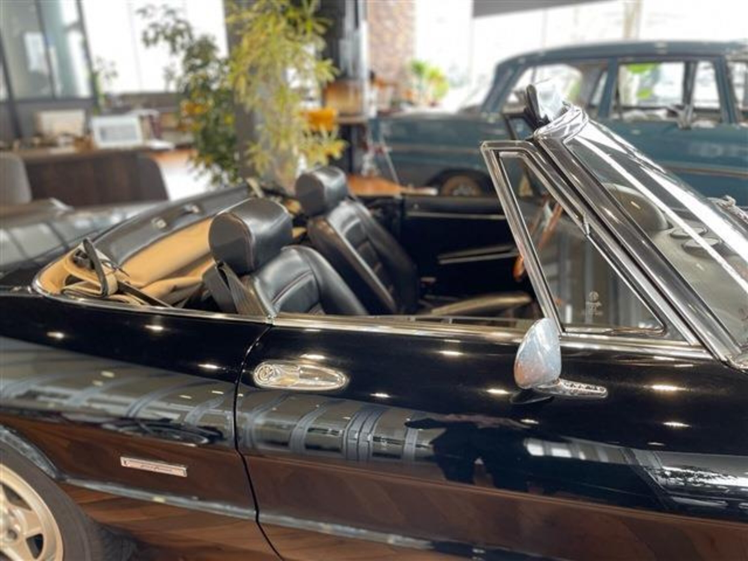 Alfa Romeo Spider (photo: 6)